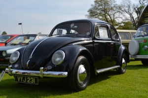 Stanford Hall VW Show